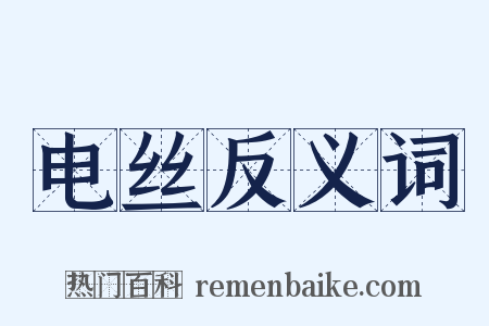 电丝反义词是什么意思的图片